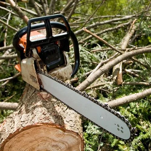 Tree trimming service